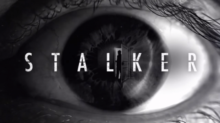 Stalkear? Quem nunca?